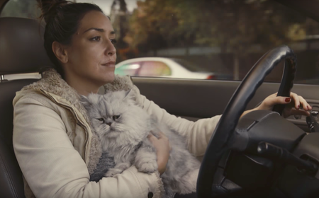 ¡Un millón de pesos por este Honda Accord ´96! Y todo gracias a este genial video