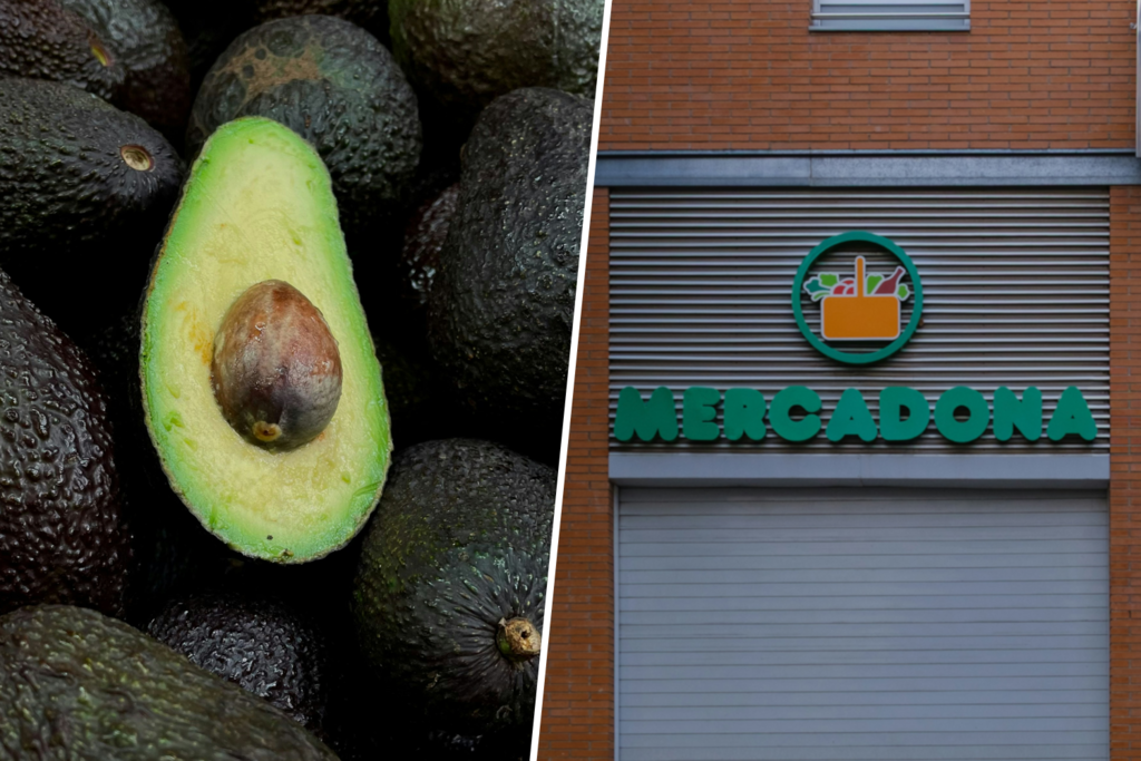 Ya conocemos el origen de los aguacates de Mercadona: la pregunta no es cuántos comprará, sino por qué quiere que lo sepamos