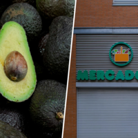 El 95% de los aguacates que va a vender Mercadona se han cultivado en España. Quiere que lo sepamos por un motivo