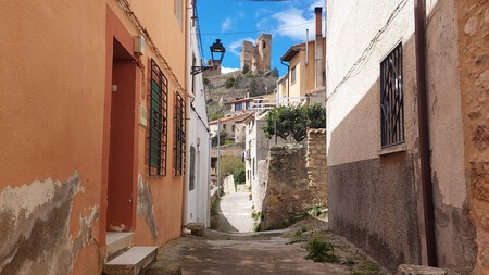Pelegrina Calle 1