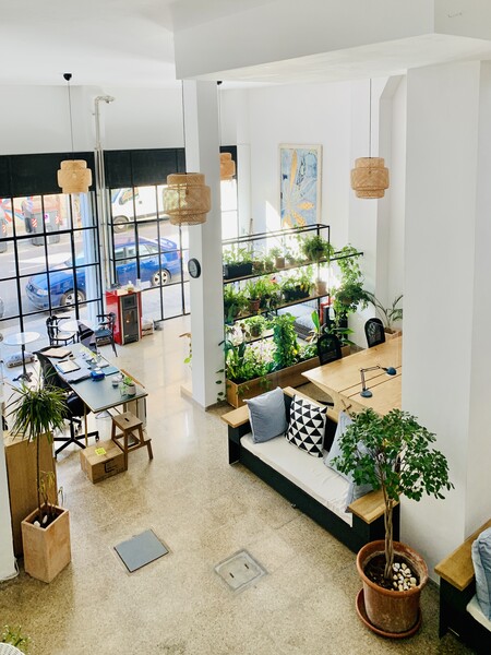 The Hub Palma 10