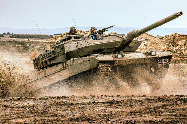 Leopardo1
