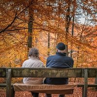 Los autónomos cobran más pensión en 2019, pero la brecha con los asalariados sigue aumentando