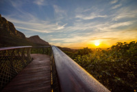 Una pasarela a 12 metros del suelo para disfrutar de Kirstenbosch a vista de pájaro