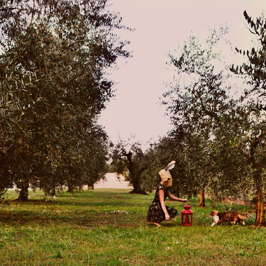 Crea tus propias máscaras de animales de cartón reciclado con las plantillas Wintercroft