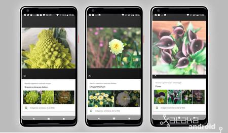 Google Lens Analisis