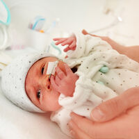 El contacto piel con piel es clave para el inicio temprano de la lactancia materna en bebés prematuros