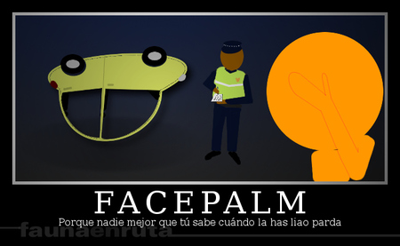 No estamos buscando culpables; bueno... o sí