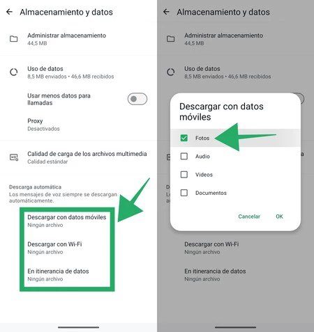 Whatsapp設定の自動ダウンロード