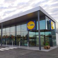 Este viernes, 22 de mayo, llega a Lidl la estantería sin obras que amplía el almacenaje en la ducha por menos de 18 euros