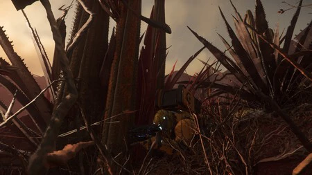 Hunting 1