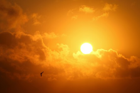 Sol