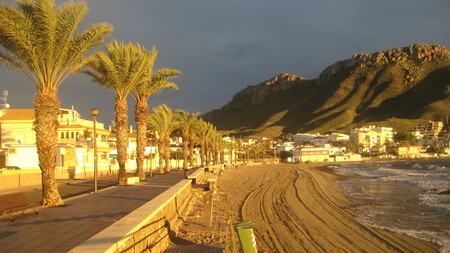 Calabardina