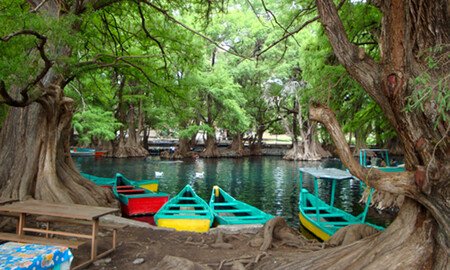 Lago De Camecuaro Anp 3