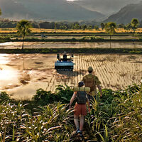 No solo ha sumado 120.000 jugadores en 5 horas, sino que con 2 imágenes puedo convencerte de que Farming Simulator 25 no es un juego casual 