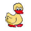Pato en la puerta