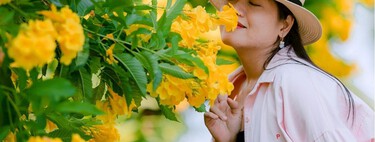 Las plantas con mejor fragancia para crear una casa más agradable y acogedora