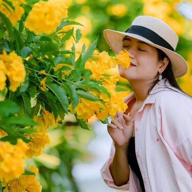 Las plantas con mejor fragancia para crear una casa más agradable y acogedora