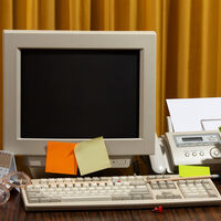 Nos anos 1990, muitas pessoas tinham um cacto ao lado do computador. Não era para decorar, mas sim para se proteger da radiação 
