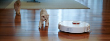 Aspiradoras sin cable y robots aspiradores: las mejores ofertas del Black Friday 