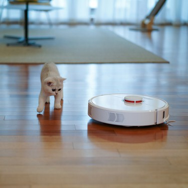 Aspiradoras sin cable y robots aspiradores: las mejores ofertas del Black Friday 