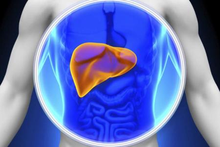 Hígado graso, ¿qué es y cómo prevenirlo?