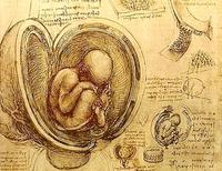 Microquimerismo fetal: ¿un increíble fenómeno de la naturaleza?