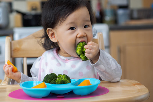 La introducción tardía de alimentos en la dieta del bebé podría predisponer a desarrollar alergias alimentarias