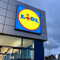 El outlet de Lidl liquida por menos de 4 euros el estor térmico que aísla del frío y se coloca sin hacer obras