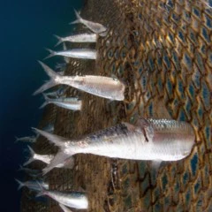 Foto 3 de 9 de la galería denuncia-ecologica en Xataka Foto