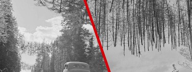 Ni IA ni Photoshop: los árboles realmente volaban sobre las carreteras de Finlandia durante la Segunda Guerra Mundial