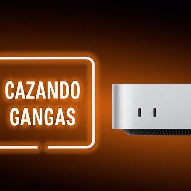 Cazando Gangas