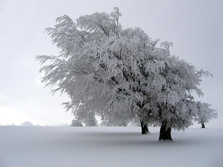 Compañeros de ruta: mucha nieve, equipo para el buen bloguero viajero y Solsona, tierra de dragones y gigantes