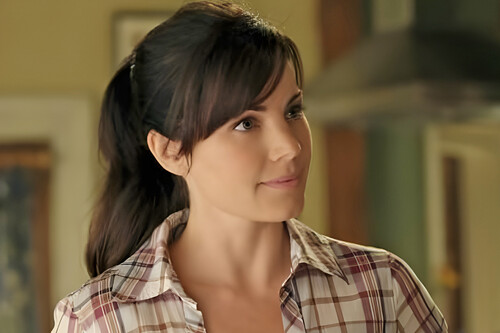 Tuvieron que pasar 1,699 días, pero por fin llegaron a Netflix las 10 temporadas de la serie más legendaria de DC