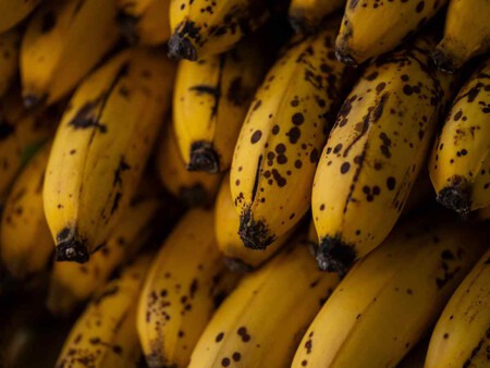 Del plátano al camote morado: investigadores de la UNAM crean cervezas artesanales y buscan hacerlas más nutritivas