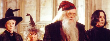 Me encantan las películas de Harry Potter, pero hay algo que me saca completamente de quicio: lo inútiles que son todos los adultos  