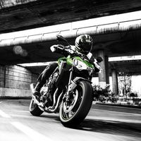 ¿Tienes el carnet A2 y quieres una Kawasaki Z900? Estás de suerte, llega la versión limitable