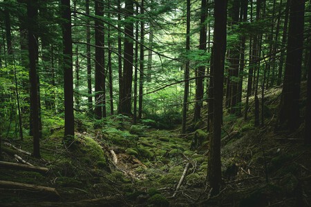 Ayako Gzpkvhiejy4 Unsplash