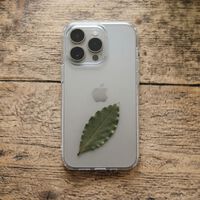 Hay personas colocando una hoja de laurel en la funda del móvil: una vieja superstición que tiene una explicación psicológica 
