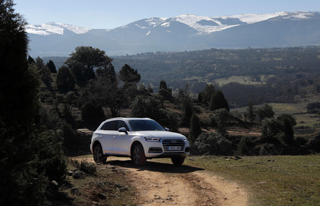 Audi Q5 2017 P 305