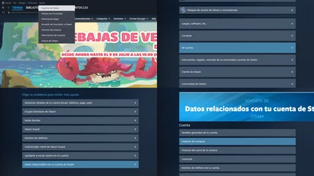 Steam