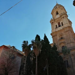 Foto 72 de 154 de la galería fotos-tomadas-con-el-honor-10-lite en Xataka Android