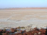 Si piensas ir al Gran Premio de Aragón, planifica con tiempo el alojamiento