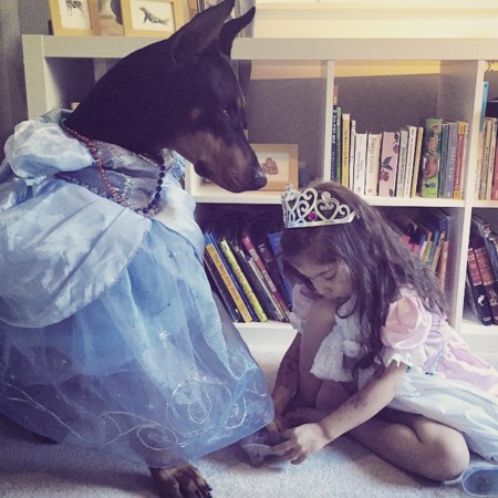 Cutie And The Beast Dog Girl Seana Doberman 35