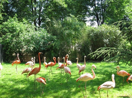 Los zoológicos de París 