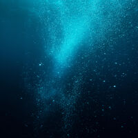 Ela ficou escondida por 21 milhões de anos e finalmente foi revelada: a 'minúscula' surpresa que muda o que sabíamos sobre o oceano