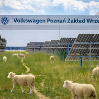 Volkswagen puso a pastar ovejas bajo 31,000 placas solares. Resulta que empezaron a cambiar la forma de producir energía 
