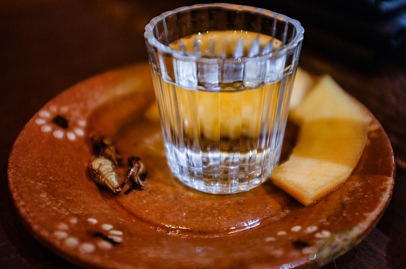 Maestras mezcaleras celebrarán el Día de la Mujer con una degustación en la cantina Tenxokotl