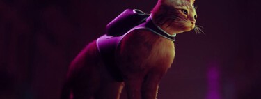Requisitos en PC de Stray: la michi-aventura del verano es de lo más esperado en Steam y accesible en casi cualquier ordenador 