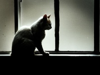 La desconfianza en el mundo de la empresa